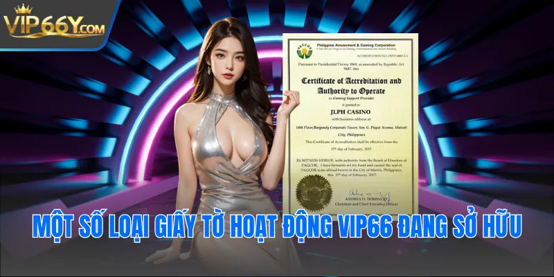 Một số loại giấy tờ hoạt động Vip66 đang sở hữu