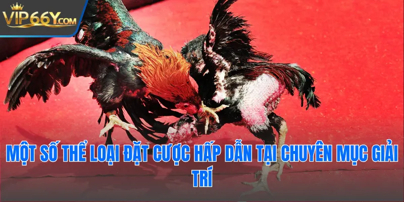 Một số thể loại đặt cược hấp dẫn tại chuyên mục giải trí