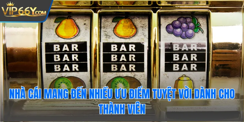 Nhà cái mang đến nhiều ưu điểm tuyệt vời dành cho thành viên