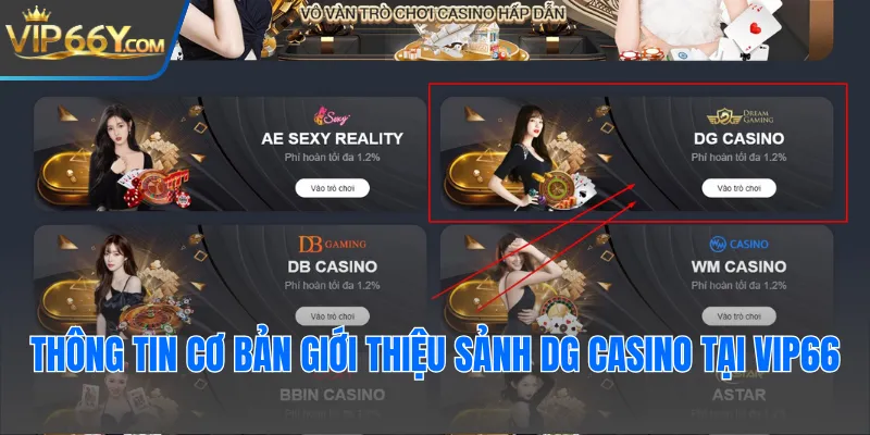Thông tin cơ bản giới thiệu sảnh DG casino tại Vip66