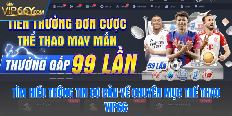 Tìm hiểu thông tin cơ bản về chuyên mục thể thao Vip66