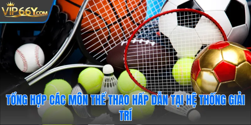 Tổng hợp các môn thể thao hấp dẫn tại hệ thống giải trí