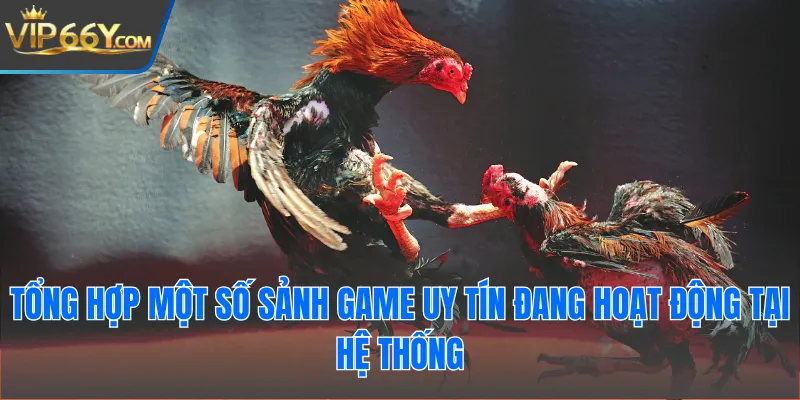 Tổng hợp một số sảnh game uy tín đang hoạt động tại hệ thống