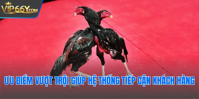 Ưu điểm vượt trội giúp hệ thống tiếp cận khách hàng